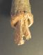 DSCN0323.JPG