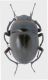 DSCN2879.JPG