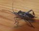 DSCF6707.JPG