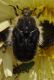 DSC_0140 Correction.jpg