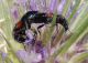 DSCN9023.JPG