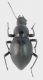 DSCN2779.JPG