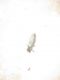 20170720_083249.jpg