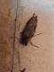 20170720_083302.jpg