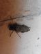 20170720_083317.jpg