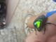 20170720_135455.jpg
