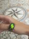 20170720_135442.jpg