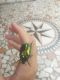 20170720_135423.jpg