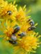 DSCN9751.JPG