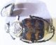 100_8266.JPG