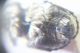 100_8276.JPG
