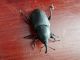 IMG-20170803-WA0009.jpg