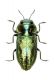 2017-08-05_17-37-07 M=C R=50 S=10.jpg