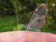 Image00218.jpg
