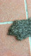 giardino04.gif