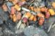 IMG-20170829-WA0000.jpg