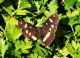 DSC06182.JPG