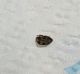 IMG-20170903-WA0022-1.jpg