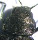 035.JPG