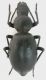 DSCN3076.JPG