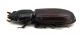 CombM2362_27zL6cr.jpg