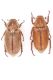 AnoxiaDSC_0338RID.jpg