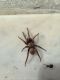 IMG-20170922-WA0000.jpg