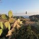 IMG_7598---Copia.jpg