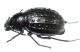 DSCN5367.JPG