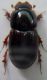IMG_20171002_092415 (235x400).jpg