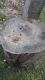 IMG-20171003-WA0002.jpg