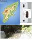 Carabidae - Kopie.jpg