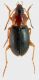DSCN3159.JPG