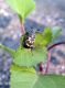 DSCN1075.JPG