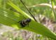 DSCN1179.JPG
