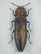 DSCN1062.JPG