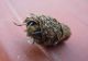 7-DSCN2243.jpg