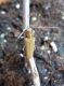 8-DSCN2252.jpg