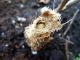 5-DSCN2258.jpg