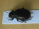 DSCN7635-okit.jpg