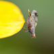P1202178bismall2.jpg