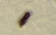 MC170415.jpg