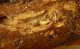 3-DSCN4364-okit.jpg