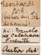 Pella leonhardi (Bernhauer,  1912) - Kopie - Kopie.jpg