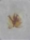 DSCN1346.JPG