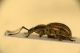 _DSC04830001.JPG