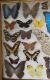 IMG-20180328-WA0003-1.jpg