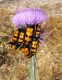 DSCN3875.JPG