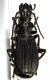 tn_Cypholoba sp..jpg