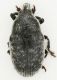 2017-10-06 21-40-46 (A,Radius4,Smoothing2)1.JPG